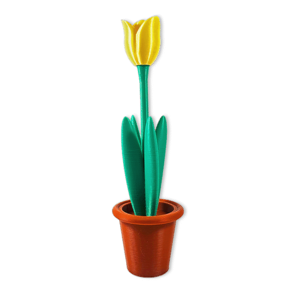 Tulipan de Escritorio